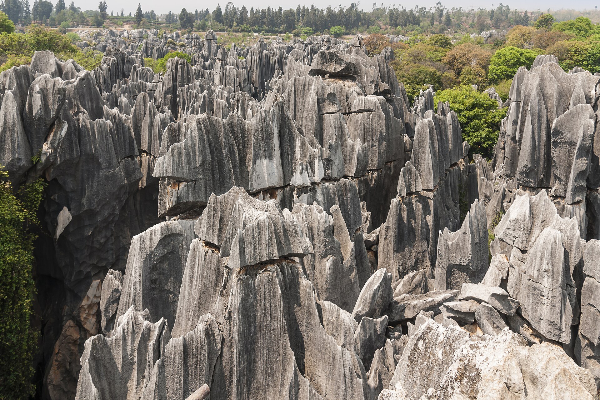 Kunming Stone Forest, Kunming