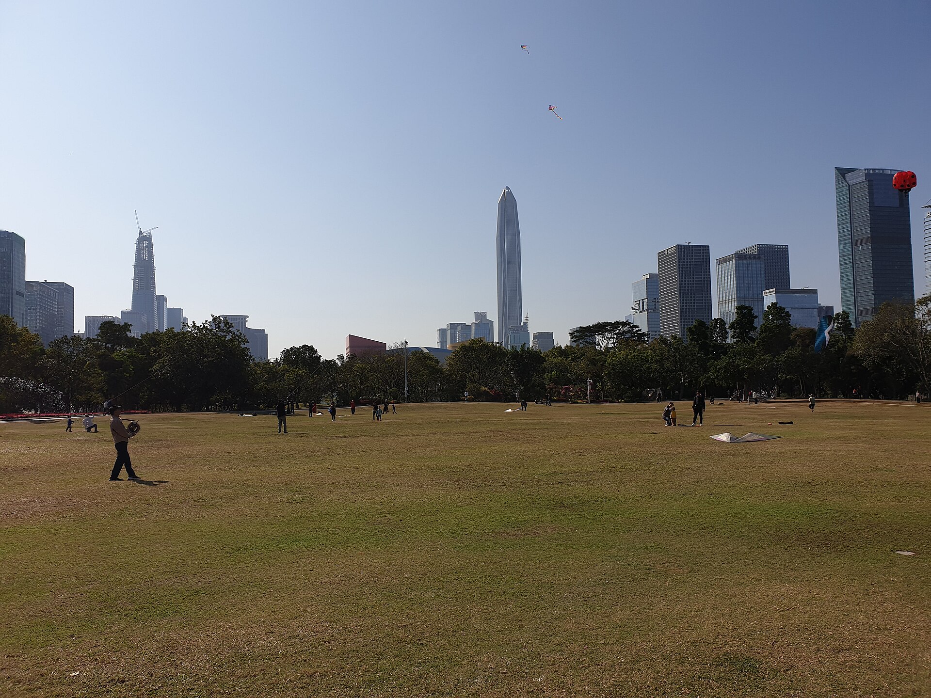 Shenzhen Lianhuashan Park skyline, Shenzhen